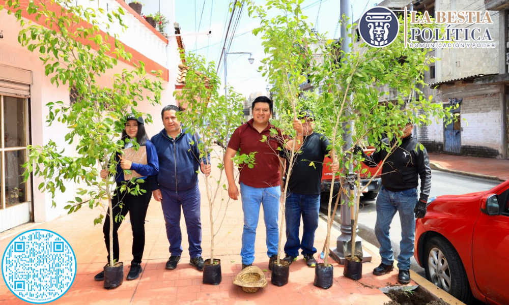 Ayuntamiento de Chiautempan pone en marcha campaña de reforestación.