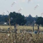 Muere uno de los dos lesionados por polvorín en Xalostoc