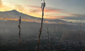 Protección Civil atiende y sofoca seis incendios en el municipio de Ixtenco