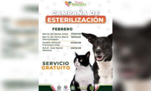 Concluye con éxito jornada de esterilización en Chapultepec e invitan a próximas jornadas en Huamantla