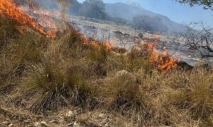 Protección Civil de Ixtenco llama a realizar quemas controladas ante ola de incendios
