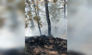 Incendio en Huamantla: Protección Civil actúa rápido y controla el fuego