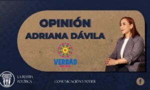 Entre el Excel y la fosa: La seguridad que no existe.