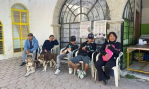 Continúan las jornadas de esterilización en Huamantla para promover la tenencia responsable