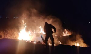 Incendio de pastizal en Huamantla: Acción rápida evita daños mayores