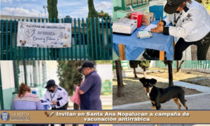 🐾💉 Invitan en Santa Ana Nopalucan a campaña de vacunación antirrábica