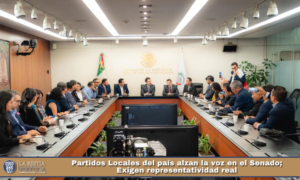 Partidos Locales del país alzan la voz en el Senado; Exigen representatividad real.