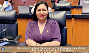 Es momento de profundizar la transformación y defender el voto sin dádivas: Ana Lilia Rivera.