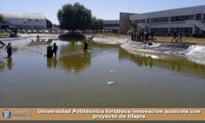 Universidad Politécnica fortalece innovación acuícola con proyecto de tilapia.