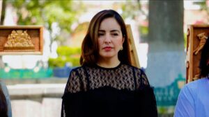 Diputada del PAN acusa que “Plan B” es una maniobra para obtener recursos