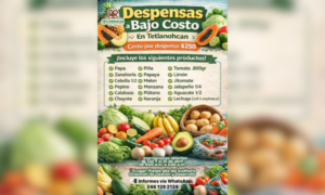 Impulsa Gobierno de Tetlanohcan programa de despensas a bajo costo en beneficio de las familias.