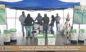 Con inversión municipal, Tetla impulsa al campo con entrega de semillas híbridas para 400 hectáreas.