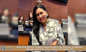 Ana Lilia Rivera: avanza justicia para las mujeres al aprobar Senado reforma clave contra el feminicidio.