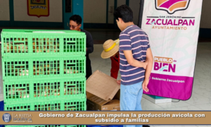 Gobierno de Zacualpan impulsa la producción avícola con subsidio a familias.