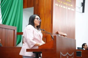 “No se puede aprobar en automático lo que no se ha discutido en lo local”: Diputada del PRDT, vota en contra del Plan B.