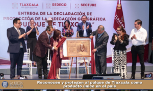 Reconocen y protegen al pulque de Tlaxcala como producto único en el país.