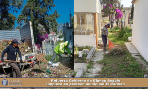 Refuerza Gobierno de Blanca Angulo limpieza en panteón municipal El Carmen.