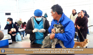 Vacunación antirrábica en la Capital recorrerá comunidades durante todo Mayo.