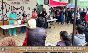 Fortalecen Gobierno de Alfonso Sánchez y Zoonosis de SESA la salud pública con exitosa campaña de esterilización animal.
