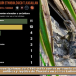 Investigadores del CTBC-UATx suman evidencia científica sobre anfibios y reptiles de Tlaxcala en conteo Latinoamericano.