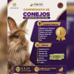 Llega el Campeonato de Conejos a Zacatelco.
