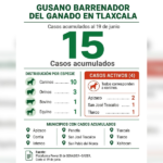 Tlaxcala registra la mayor proporción de casos activos de gusano barrenador en caninos; OCPA cuestiona la inacción de la CBA.