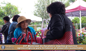 DIF Municipal de Zacatelco impulsa proyectos agroecológicos para fortalecer el desarrollo sustentable.