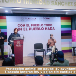 Protección animal en pausa: 10 ayuntamientos de Tlaxcala ignoran ley y dejan sin castigo el maltrato.