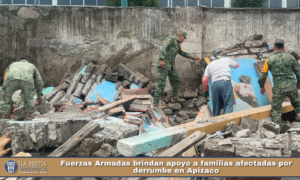 Fuerzas Armadas brindan apoyo a familias afectadas por derrumbe en Apizaco.