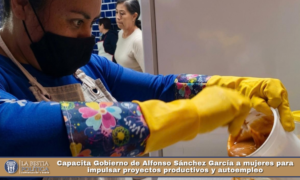 Capacita Gobierno de Alfonso Sánchez García a mujeres para impulsar proyectos productivos y autoempleo.