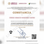 Sociedad civil e instituciones fortalecen la capacitación para la detección del gusano barrenador.