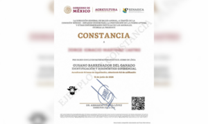 Sociedad civil e instituciones fortalecen la capacitación para la detección del gusano barrenador.