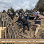 Refuerzan operativos contra la tala ilegal en Tlaxcala; Profepa reporta más de 115 acciones y 631 m³ de madera asegurada.