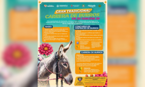 Chava Santos invita a vivir la tradicional carrera de burros en su edición 39.