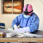 Inicia en Zacatelco la campaña gratuita de esterilización para perros y gatos.