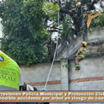 Previenen Policía Municipal y Protección Civil de la capital posible accidente por árbol en riesgo de caer en Atempan.