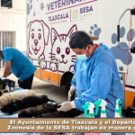El Ayuntamiento de Tlaxcala y el Departamento de Zoonosis de la SESA trabajan de manera coordinada.