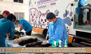 El Ayuntamiento de Tlaxcala y el Departamento de Zoonosis de la SESA trabajan de manera coordinada.