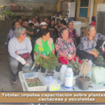 Totolac impulsa capacitación sobre plantas de ornato, cactáceas y suculentas.