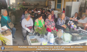 Totolac impulsa capacitación sobre plantas de ornato, cactáceas y suculentas.