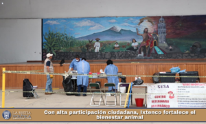 Con alta participación ciudadana, Ixtenco fortalece el bienestar animal.