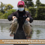 Actualiza Conapesca las Reglas de Operación para Componente de Recursos Genéticos Acuícolas.