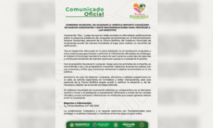 Gobierno Municipal de Huamantla verifica reporte ciudadano en Nuevos Horizontes y emite recomendaciones para proteger a las mascotas.