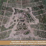Salvador Santos invita a descubrir la temporada de dalias en Huamantla.