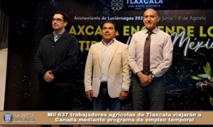 Mil 637 trabajadores agrícolas de Tlaxcala viajarán a Canadá mediante programa de empleo temporal.