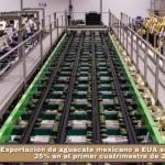 Exportación de aguacate mexicano a EUA se incrementa 35% en el primer cuatrimestre de 2026.