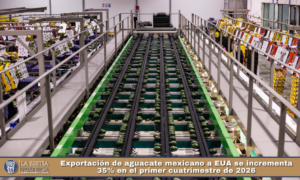 Exportación de aguacate mexicano a EUA se incrementa 35% en el primer cuatrimestre de 2026.