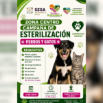 Gobierno de Huamantla invita a la Campaña de Esterilización para perros y gatos y promueve la tenencia responsable de animales de compañía.