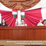 Congreso recibe señalamientos de municipios por cuentas públicas y trámites financieros.