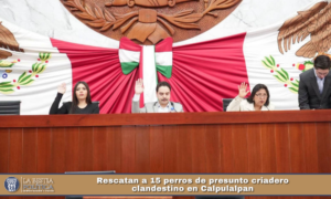 Congreso recibe señalamientos de municipios por cuentas públicas y trámites financieros.